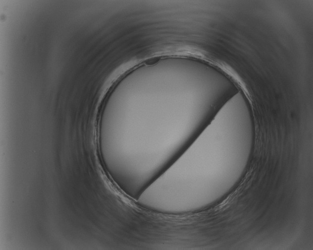 X0000087521088200704270813