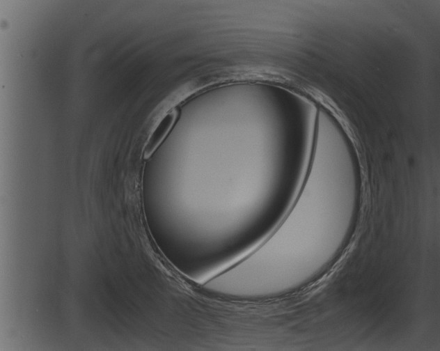 X0000087521089200704270813