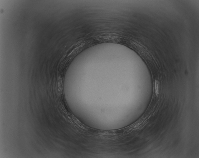 X0000087521107200704270812