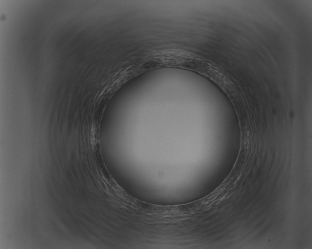 X0000087521108200704270812