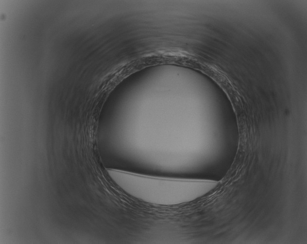 X0000087521110200704270812
