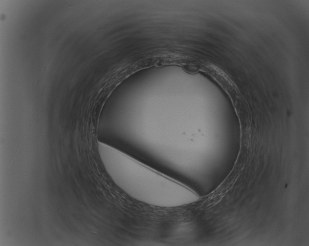 X0000087521111200704270812