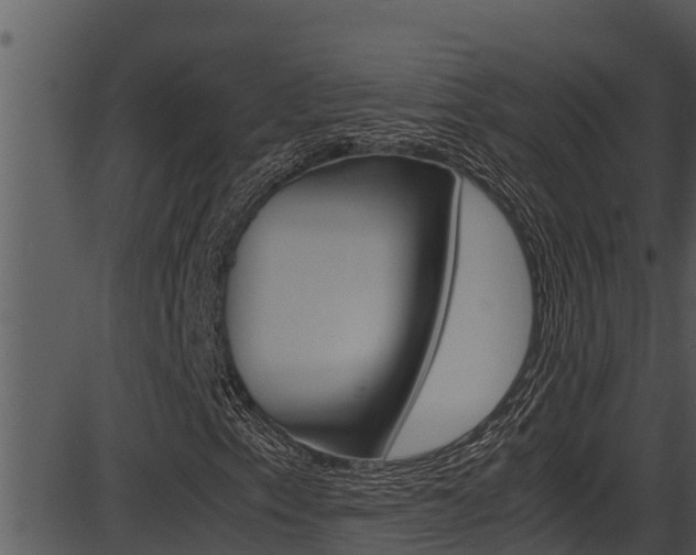 X0000087521153200704270812