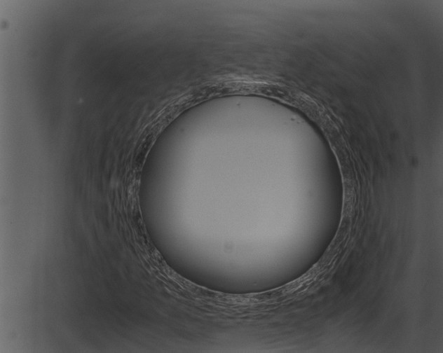 X0000087521157200704270812