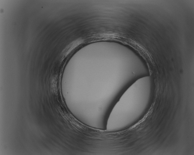 X0000087521162200704270811