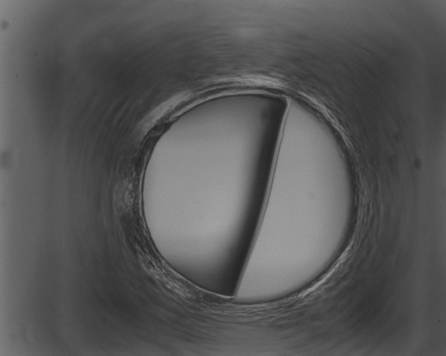 X0000087521163200704270811