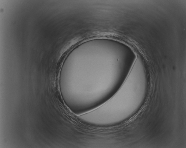 X0000087521165200704270811