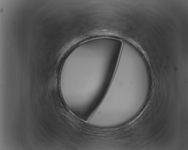 X0000087521167200704270811