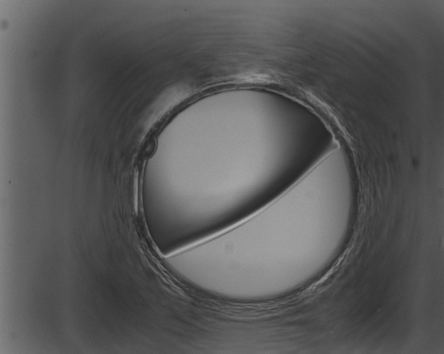 X0000087521171200704270811