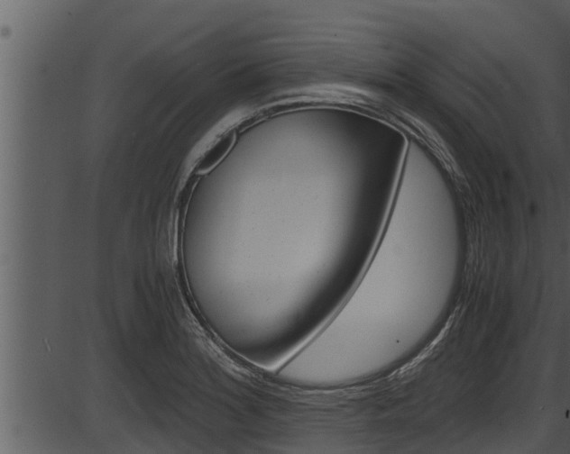 X0000087521180200704270811