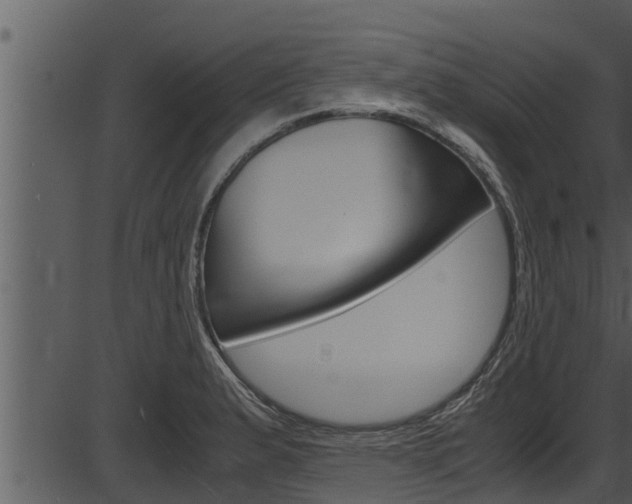 X0000087521183200704270811