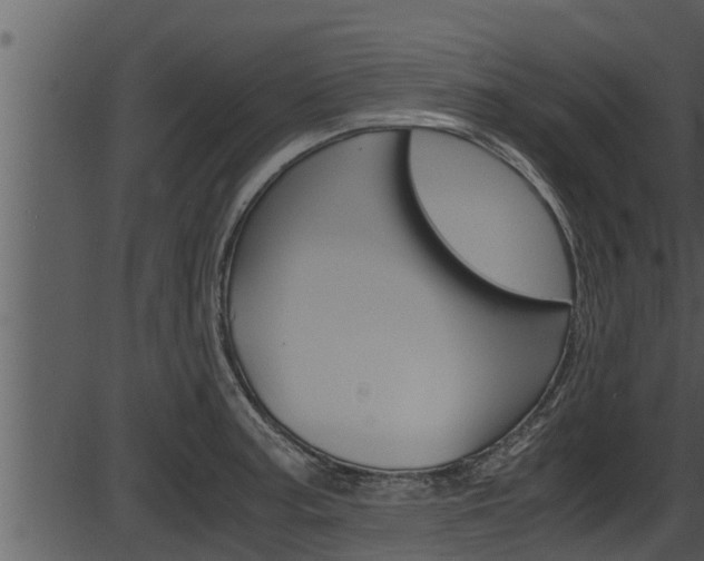 X0000087521187200704270811