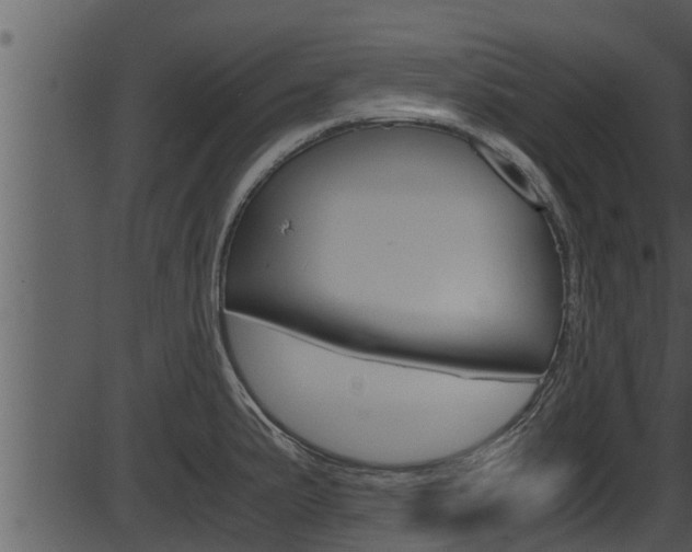 X0000087521191200704270811