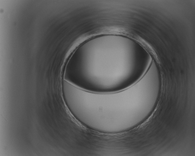 X0000087521192200704270811