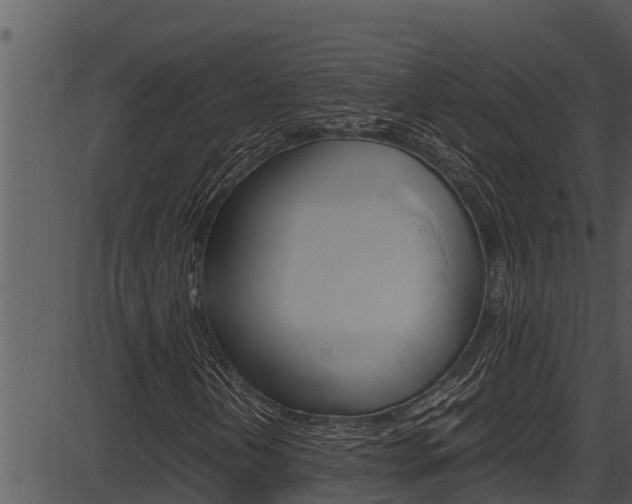 X0000087521202200704270810