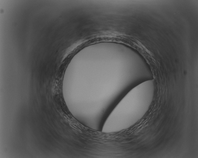 X0000087521208200704270810