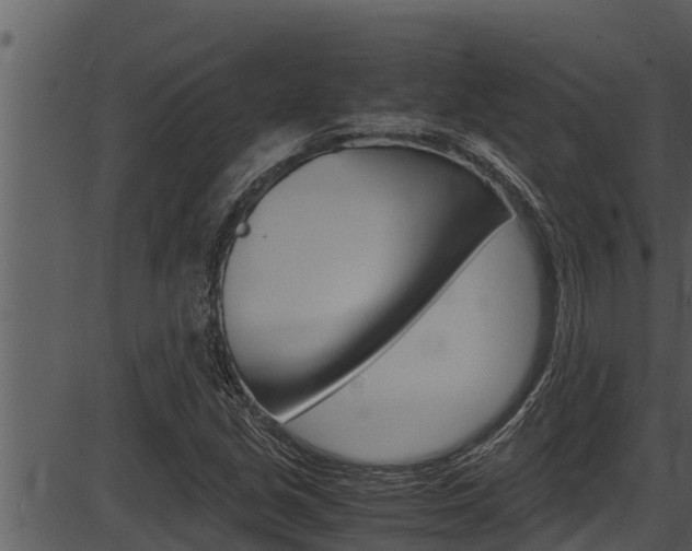 X0000087521213200704270810