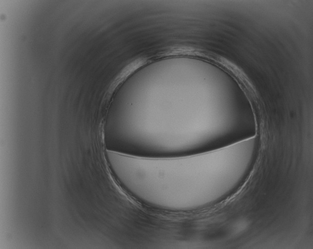 X0000087521241200704270811