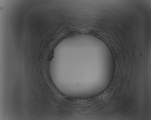 X0000087521249200704270810