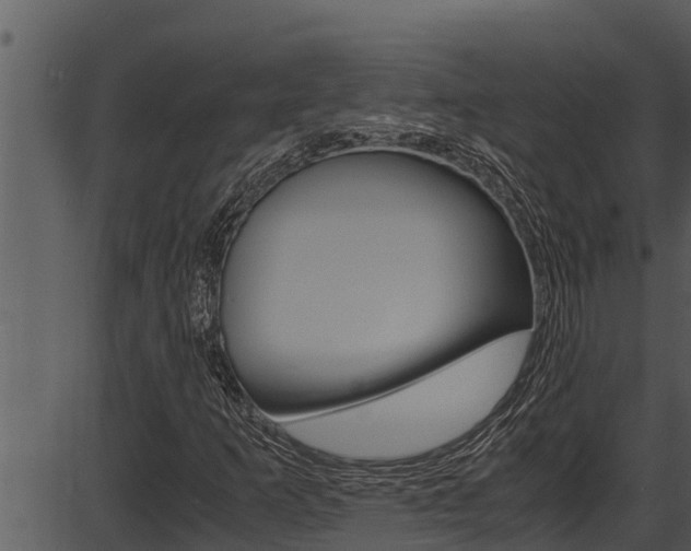 X0000087521253200704270810