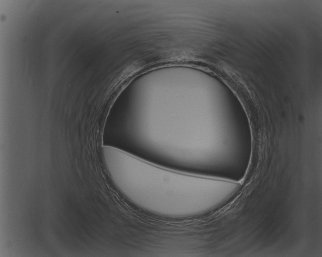 X0000087521265200704270810