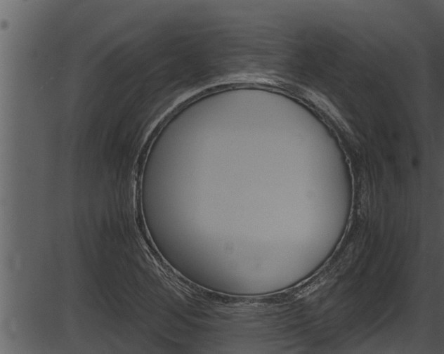 X0000087521268200704270810