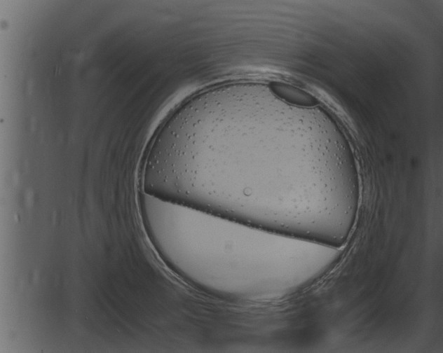 X0000087521283200704270810