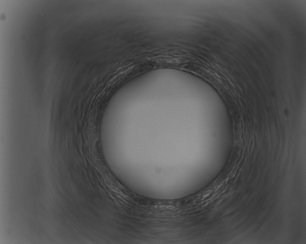 X0000087521297200704270809