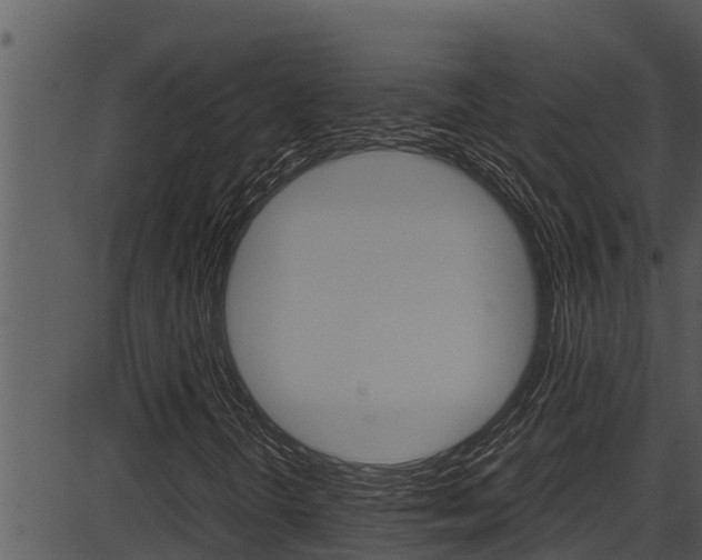 X0000087521298200704270809