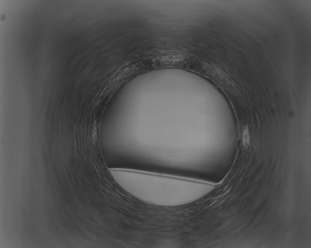 X0000087521299200704270809