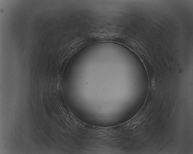 X0000087521300200704270809