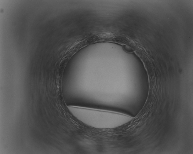 X0000087521301200704270809