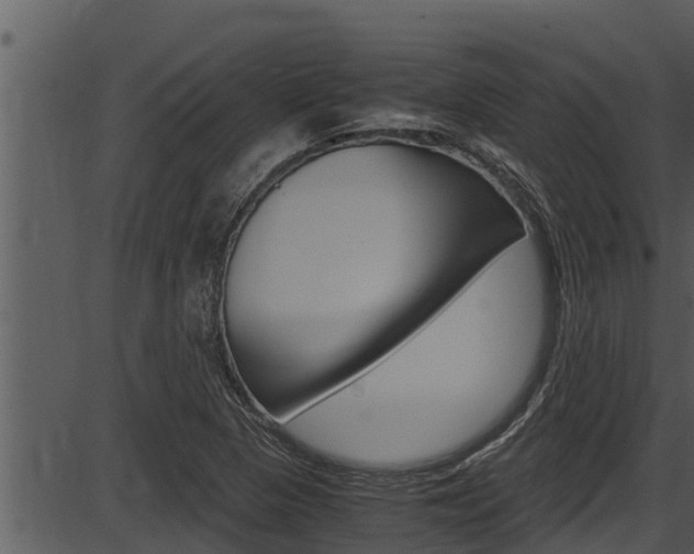 X0000087521313200704270809