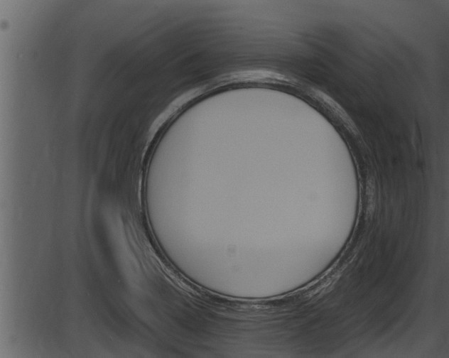 X0000087521322200704270809