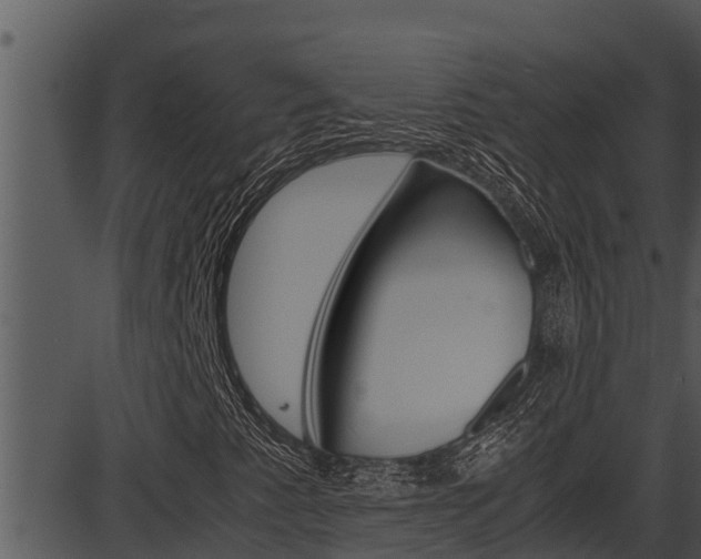 X0000087521345200704270808