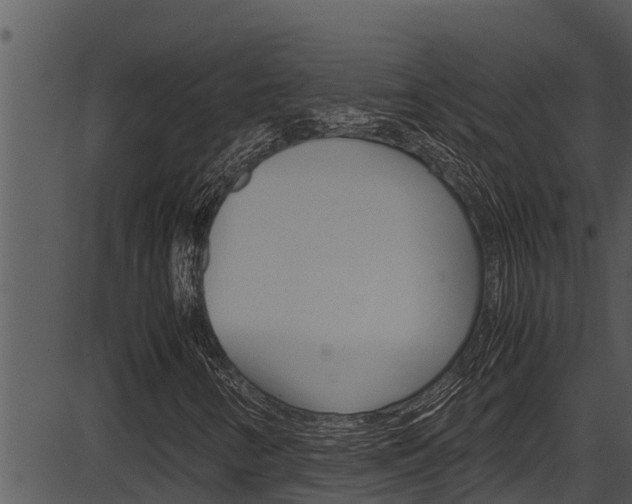 X0000087521346200704270808