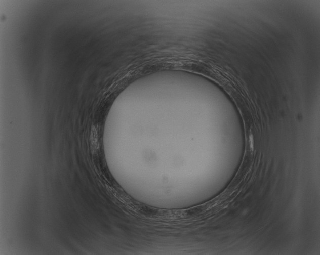 X0000087521347200704270808