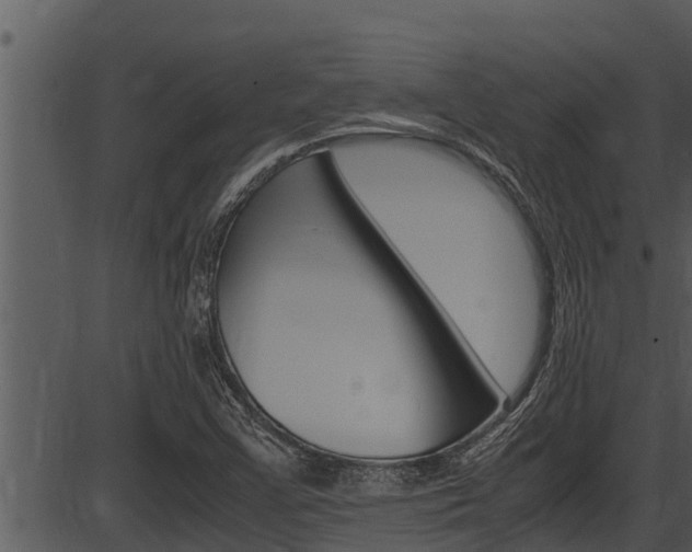 X0000087521355200704270808