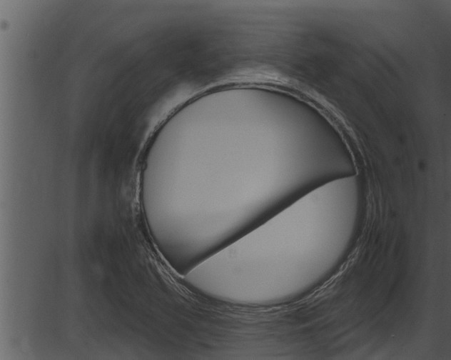 X0000087521366200704270808