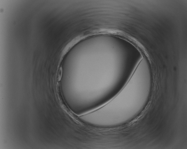 X0000087521373200704270808