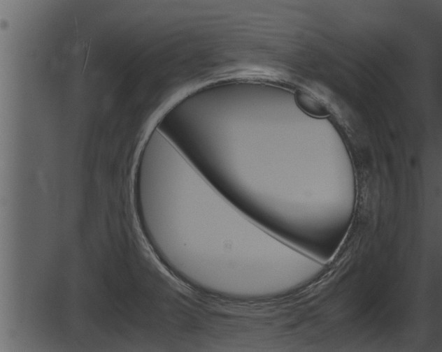 X0000087521375200704270808