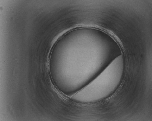 X0000087521380200704270808