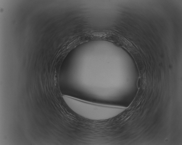 X0000087521394200704270807