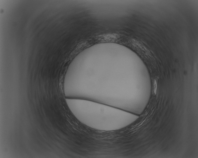X0000087521395200704270807