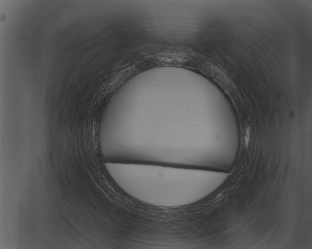 X0000087521396200704270807