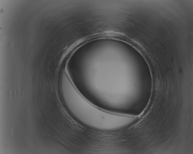 X0000087521410200704270807