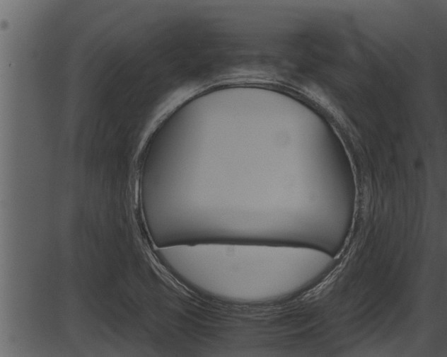 X0000087521413200704270807
