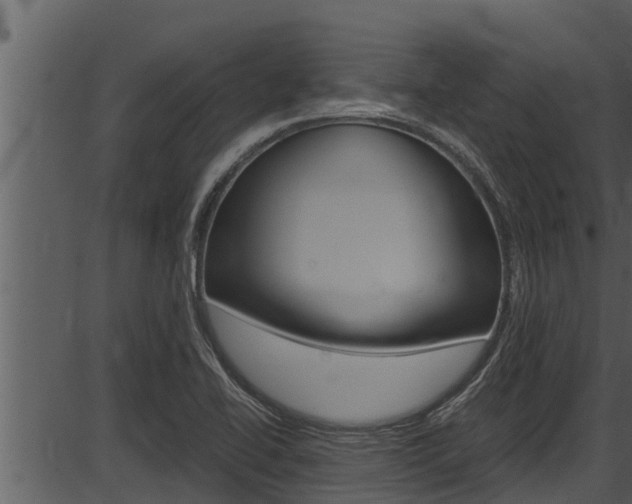 X0000087521414200704270807