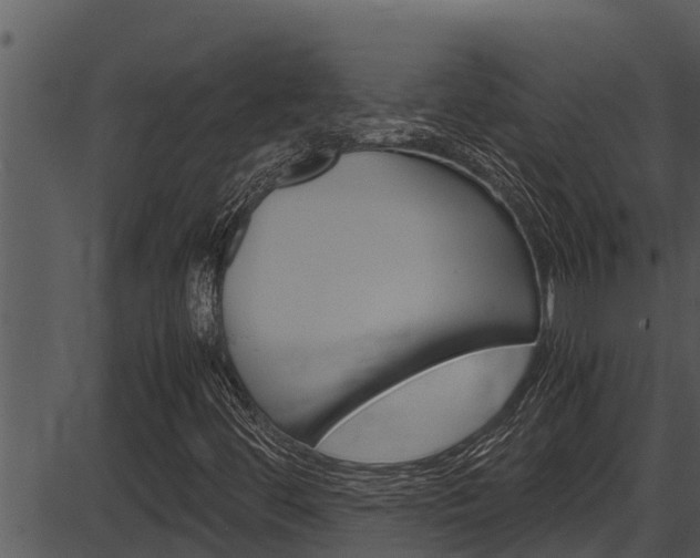X0000087521444200704270807