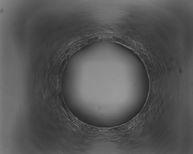 X0000087521445200704270807